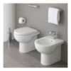 Bidet A Pavimento 51x36 Cm Flaminia Quick -Vendite Ediliamo bidet a pavimento 51x36 cm flaminia quick