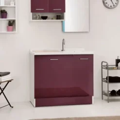 Lavatoio Con Cesto Portabiancheria 100x55x89h Cm Melanzana Lucido Active Wash Colavene