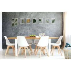 Sedia Con Cuscino In Polipropilene Moderna Bianca - Marsiglia 15 Sedia Con Cuscino In Polipropilene Moderna Bianca - Marsiglia -Vendite Ediliamo sedia con cuscino in polipropilene moderna bianca marsiglia 6