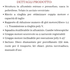Segatrice Con Motore Scorrevole Pikus 130 Advanced Raimondi 16 Segatrice Con Motore Scorrevole Pikus 130 Advanced Raimondi -Vendite Ediliamo segatrice con motore scorrevole pikus 130 advanced raimondi 3