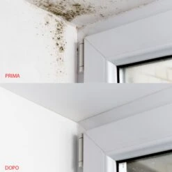 Stucco Anticondensa In Pasta ISOLXTREM RX-317 Baixens -Vendite Ediliamo stucco in pasta anticondensa isolxtrem rx 317 baixens 3