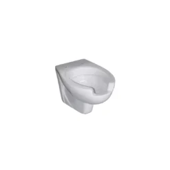 Wc Disabili Sospeso 56x37 Cm Civita Cromo